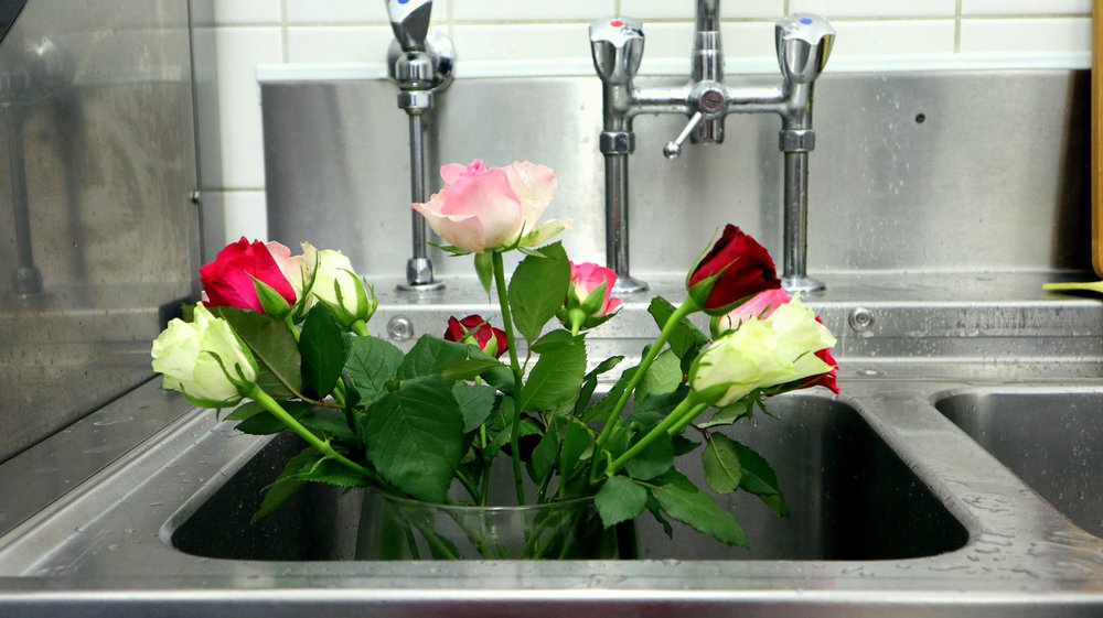 Rosen für die Tischdeko